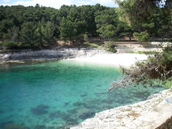 Apartment Katia PUY Rom bilde